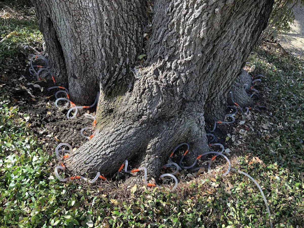 Detailed Shrub and Hedge Trimming job site in Zahl